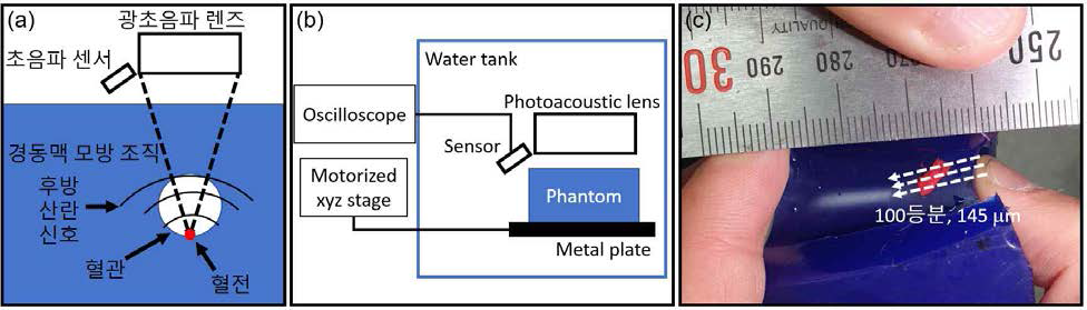 (a) 전광 트랜스듀서를 이용한 ex vivo 혈전 분석 실험도 (b) 신호 계측 및 샘플 위치 이동을 위한 연결 구성도 (c) 초음파 초점 스캔 방법. 후방산란신호를 획득하여 머신러닝에 적용함.