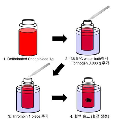 혈전 제작 방법 및 순서