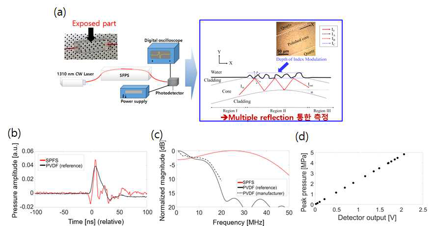 측면 연마된 광섬유 센서 (SPFS). (a) SPFS의 구동 시스템 및 구조. (b) 초음파 신호. (c) 주파수 특성. (d) SPFS의 초음파 세기 측정 범위