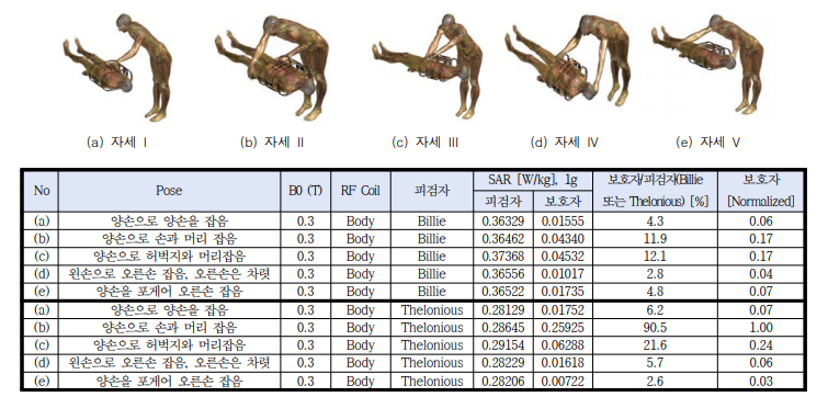 보호자가 서있는 자세에서 전자파 인체 노출 시나리오 및 SAR 레벨