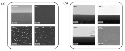 Chemical-Mechanical Polishing 공정을 통한 박막 표면 거칠기 개선 (a) 공전 전, (b) 공정 후
