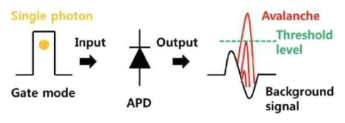APD 입출력 신호