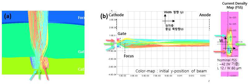 단일 포커스 전자총 구조를 이용한 전자빔 제한 정전렌즈의 (a) 전자빔 제한 모사와 (b) 폭방향(W) 전자빔 궤적 및 크기 특성
