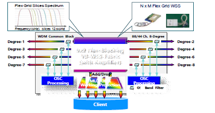 파장다중화 전송시스템 구조