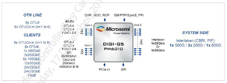 [Microsemi DIGI-G5 : OTN mapper, Flex-E/O, Security