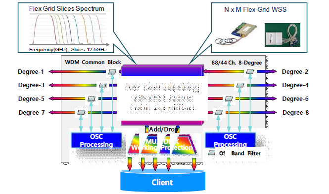 8-Degree 66ch(400G)~88ch(100/200G) 슈퍼채널 스위칭 구조