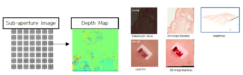 공정/조직 시편의 DepthMap