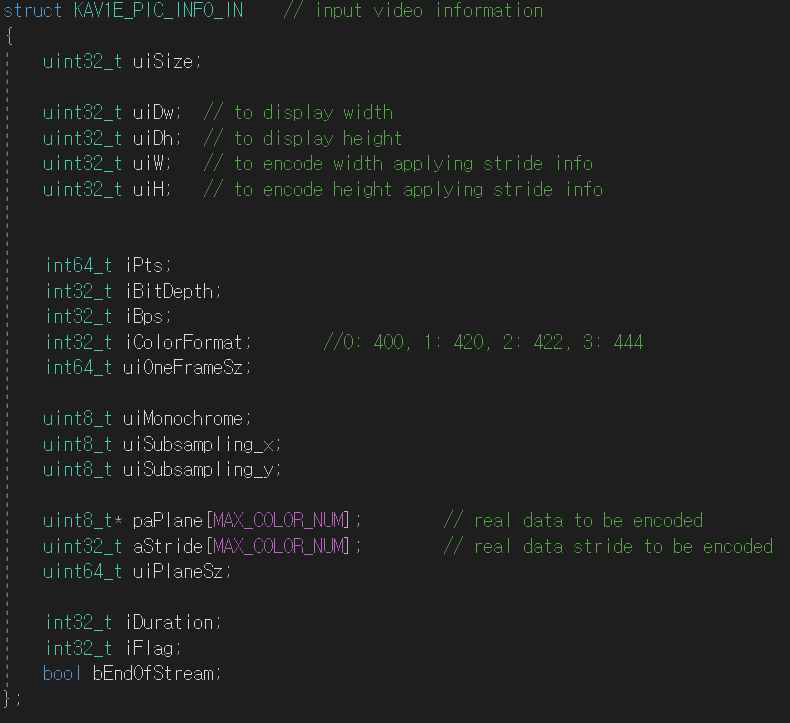 인코더의 입력 영상 구조체 설계