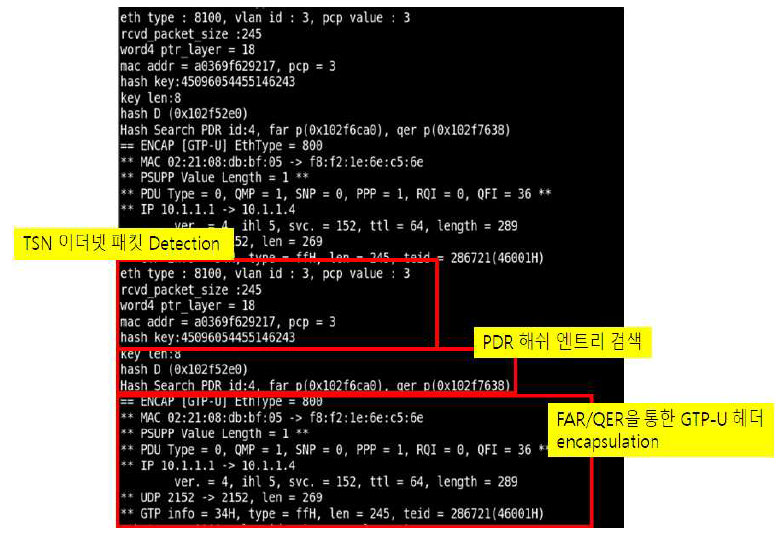 TSN 이더넷 패킷 Detection 및 GTP-U 헤더 encapsulation 기능 출력