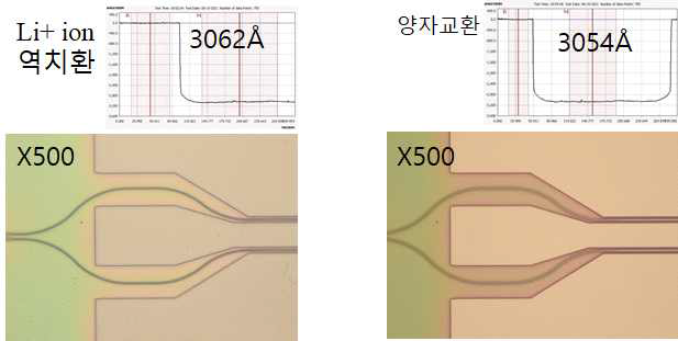 Li+ 이온 역치환 공정이 포함된 LiNbO3 도파로의 광학현미경 이미지 및 단차 측정 이미지