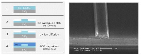 LiNbO3 도파로의 제작 순서도 및 SEM 이미지