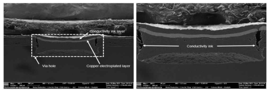 VHF 공정 이후 샘플 FE-SEM Image