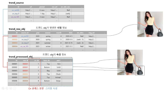 패션 지식 DB 스키마 정의