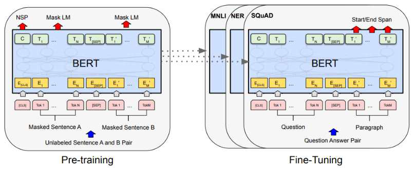 BERT의 사전 학습(Pre-training) 및 미세 조정(Fine-Tuning) 개요