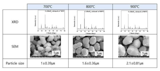 Ca-Mo 혼합물의 합성 온도에 따른 결정구조와 미세구조 분석 결과