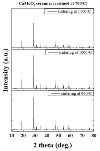 700℃ 하소 온도에서 합성된 CaMoO4 분말을 이용하여 제작한 디스크 소결체의 소결온도 변화에 따른 결정구조 XRD 패턴
