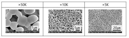 700℃하소 온도에서 합성된 CaMoO4 분말을 이용하여 1000℃에서 소결한 디스크 소결체의 미세구조 SEM 이미지