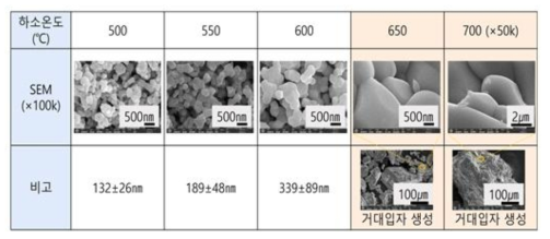 BaMoO 분말의 합성 온도 따른 미세구조 분석 결과4