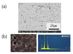 800℃에서 소결된 BaMoO4 칩의 (a) 절단면 미세구조 SEM 이미지와 (b) EDS 성분분석 그래프