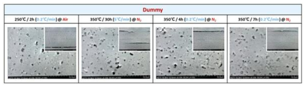 1차 가소 공정 조건에 따른 dummy 세라믹 미세구조 분석 결과