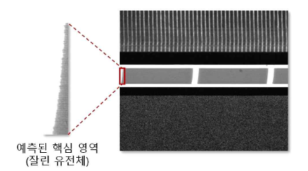 가장자리 유전체 샘플 이미지