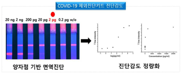 COVID-19 체외진단키트 진단감도 영상화 및 정량화