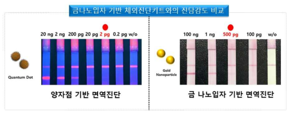 금나노입자 기반 체외진단키트와의 비교