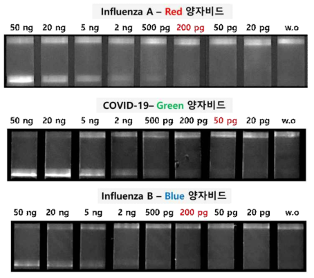 스테레오 현미경을 이용한 고감도 진단키트 진단결과 영상화