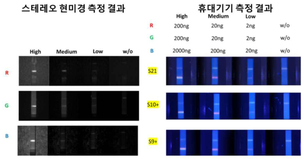 스테레오 현미경과 휴대기기를 이용한 고감도 진단키트 진단결과 비교