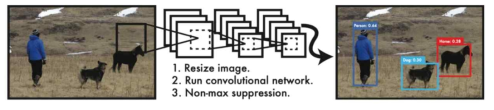 YOLO real-time object detection