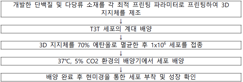 식물성 3D 지지체의 세포 실험 방법