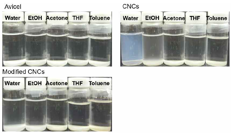 Dispersion of CNCs in different solvents