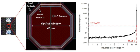 기 개발한 P+/N-well APD (a) 칩 사진 및 레이아웃, (b) 반응도 측정 결과