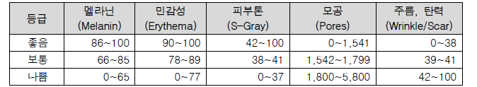 피부 진단기 결과 분석 기준