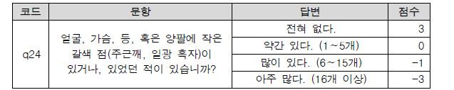 24번 문항 답변에 따른 점수 부여 기준