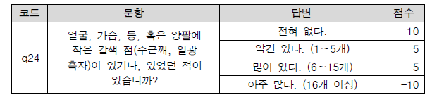 24번 문항 답변에 따른 점수 부여 기준