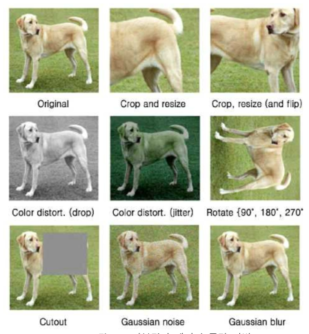 기본적인 데이터 증강 기법