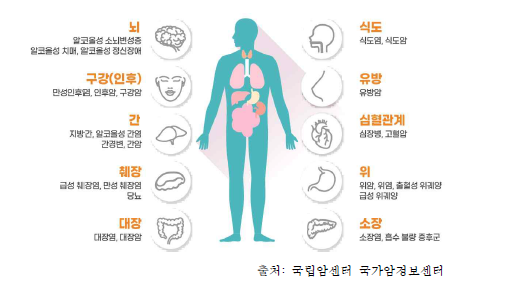 음주가 신체에 미치는 영향