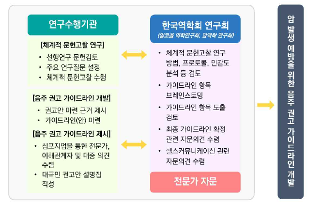 연구 수행 및 추진체계