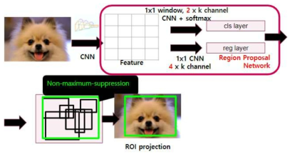 Faster R-CNN 알고리즘의 구조