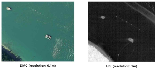 DMC 영상과 초분광 영상(NDVI) 간 부유물 식별 예시. (햇빛+물결 1)