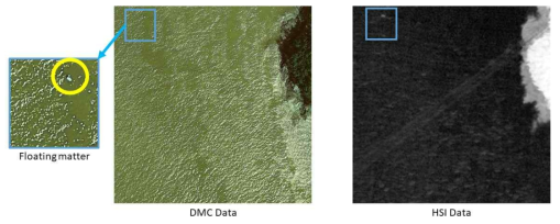 DMC 영상과 초분광 영상(NDVI) 간 부유물 식별 예시. (햇빛+물결 2)