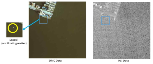 DMC 영상과 초분광 영상(NDVI) 간 부유물 식별 예시. (갈매기)