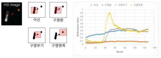 목포시 북항에서 확보된 해상물체의 대표 스펙트럼 (I)