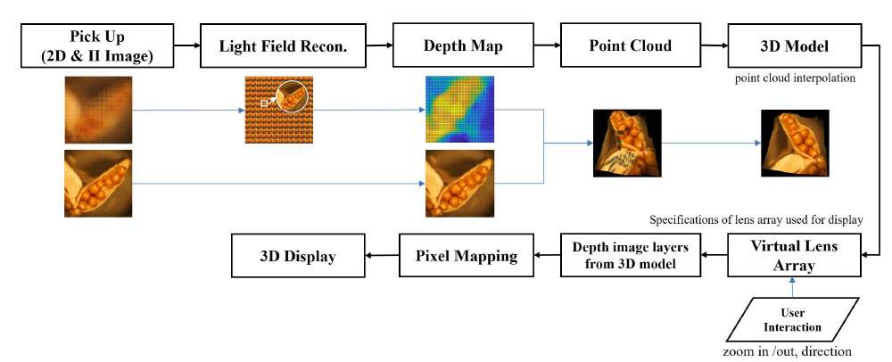 LF 현미경 3차원 디스플레이를 위한 데이터 처리의 개략도