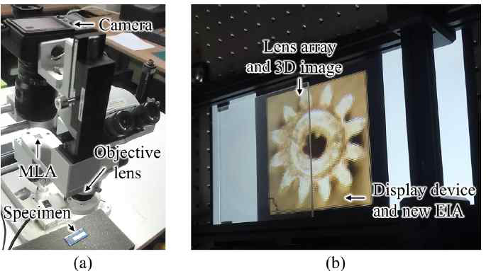 (a) 현미경 LF 영상획득 시스템, (b) 3차원 디스플레이 장치