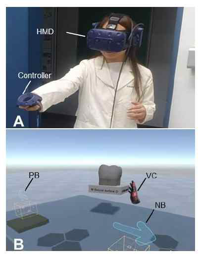 VR을 이용한 학습. (A): 학습자의 VR 경험 모습, (B): 학습자의 시선을 통해 확인 가능한 가상의 치아 형태