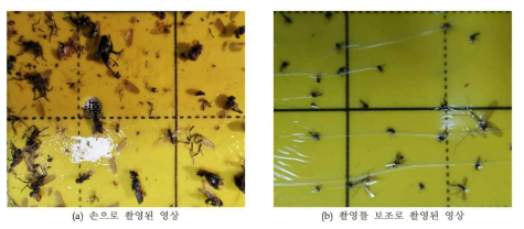 영상촬영 틀을 활용하여 촬영한 영상