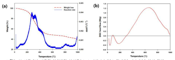 본 연구에서 사용된 열화학적 부산물(biochar)의 (a) TGA 및 DTG, (b) DSC 분석 결과