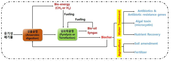 유기성 폐기물의 에너지화 및 고부화가치화를 위한 생물-열화학 연계공정 모식도